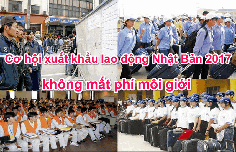 Phí môi giới lao động